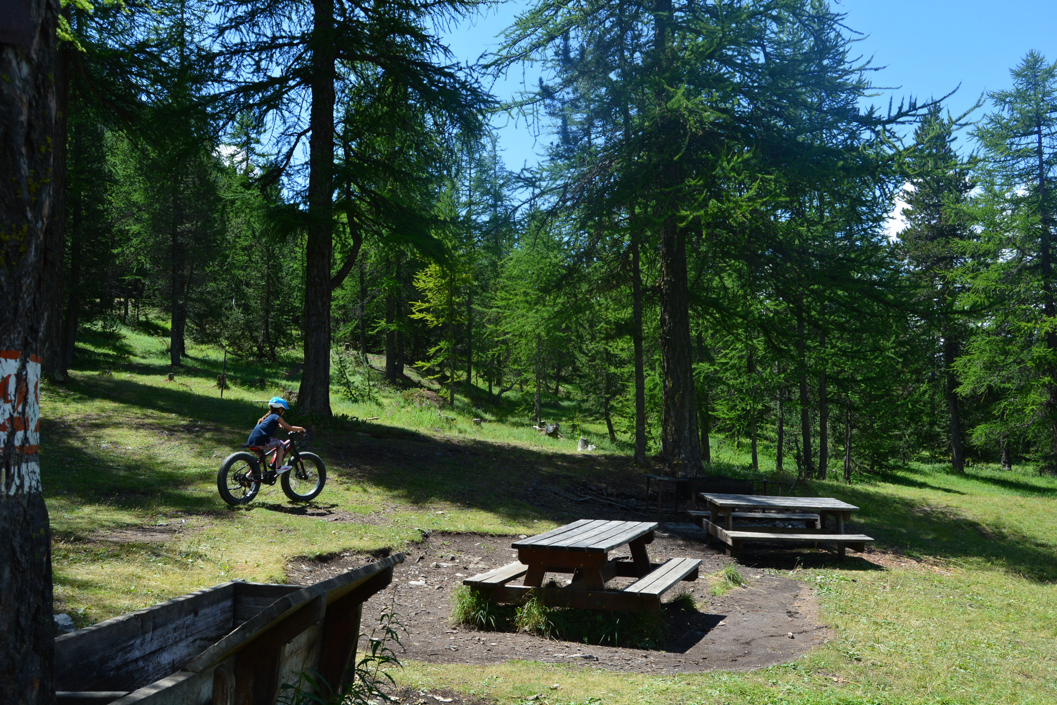 Fonds d'cran Nature Arbres - Forts Montgenèvre