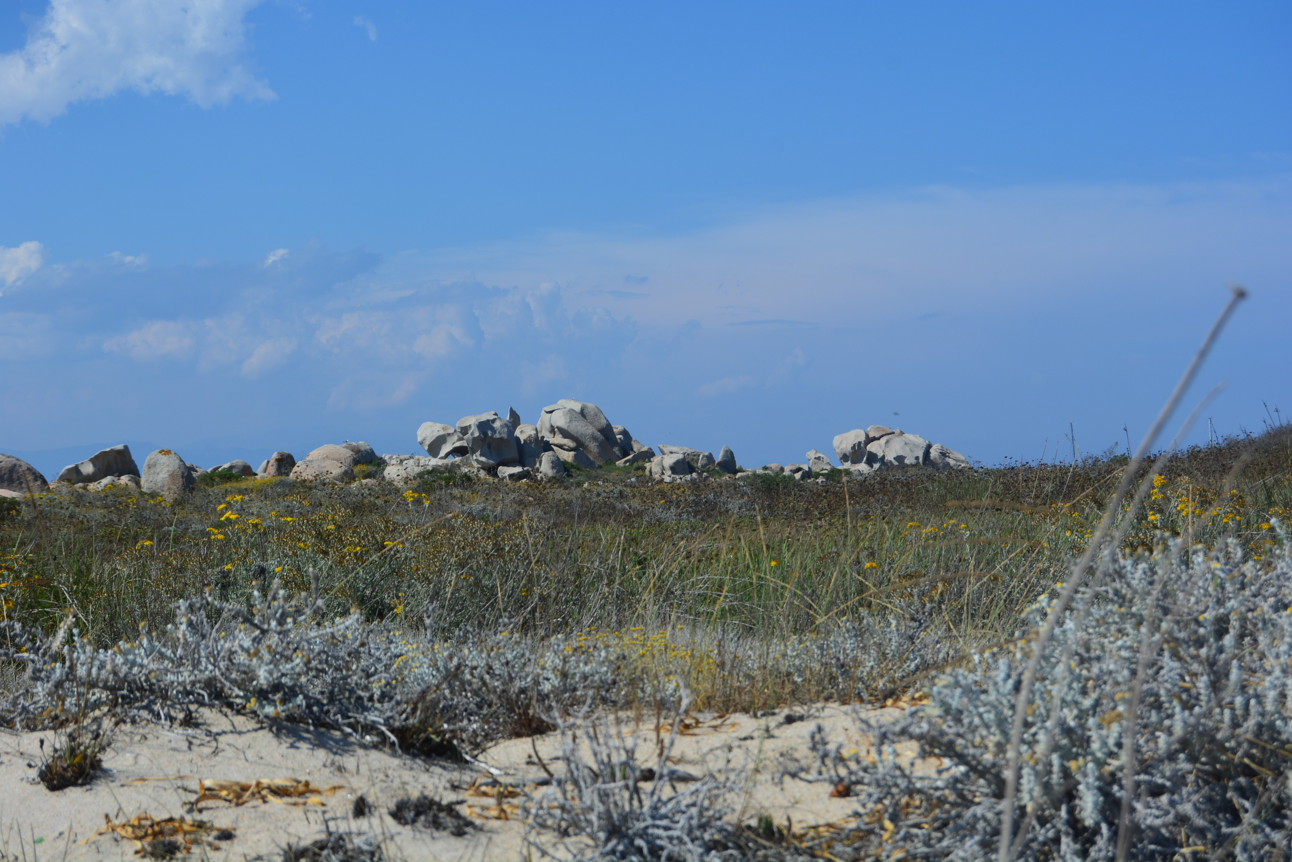 Fonds d'cran Nature Mers - Ocans - Plages le de LAVEZZI