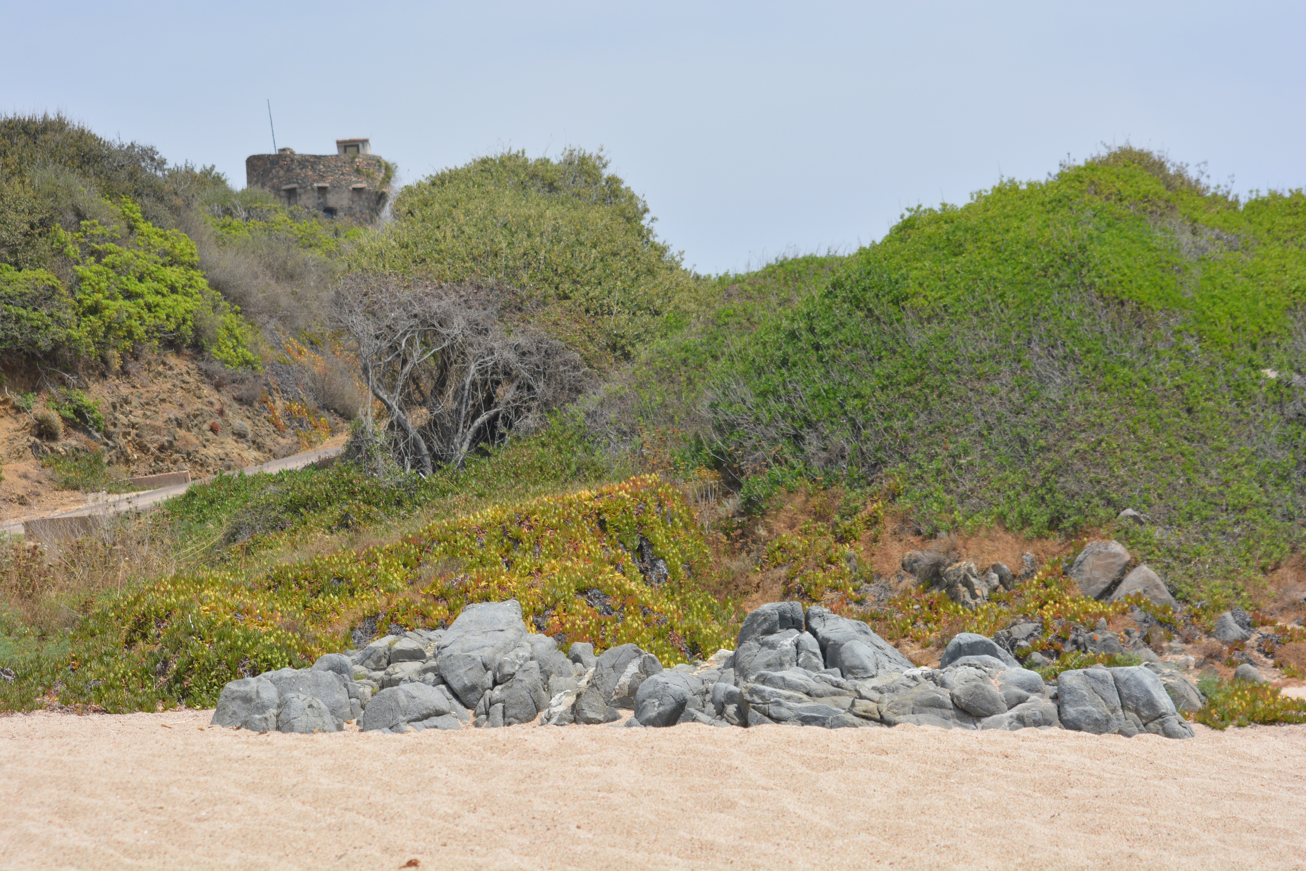 Fonds d'cran Nature Mers - Ocans - Plages plage et la tour de Calanca 