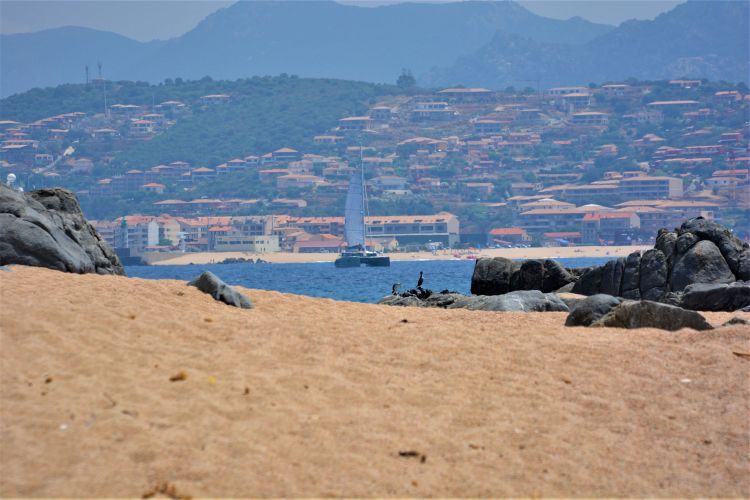 Fonds d'cran Nature Mers - Ocans - Plages plage de Calanca