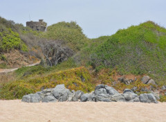  Nature plage et la tour de Calanca 