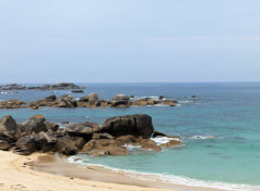  Nature bretagne, finistère nord