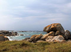  Nature bretagne, finistère nord