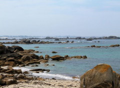  Nature bretagne, finistère nord