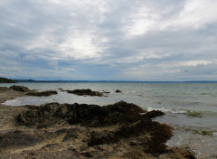  Nature bretagne, finistère 