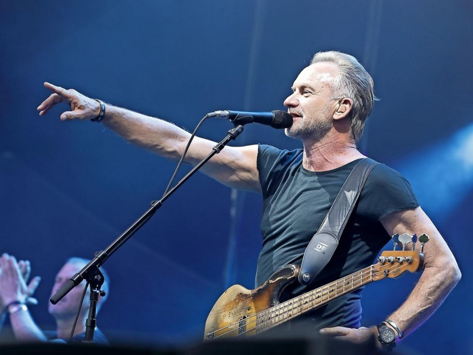 Fonds d'cran Musique Sting 