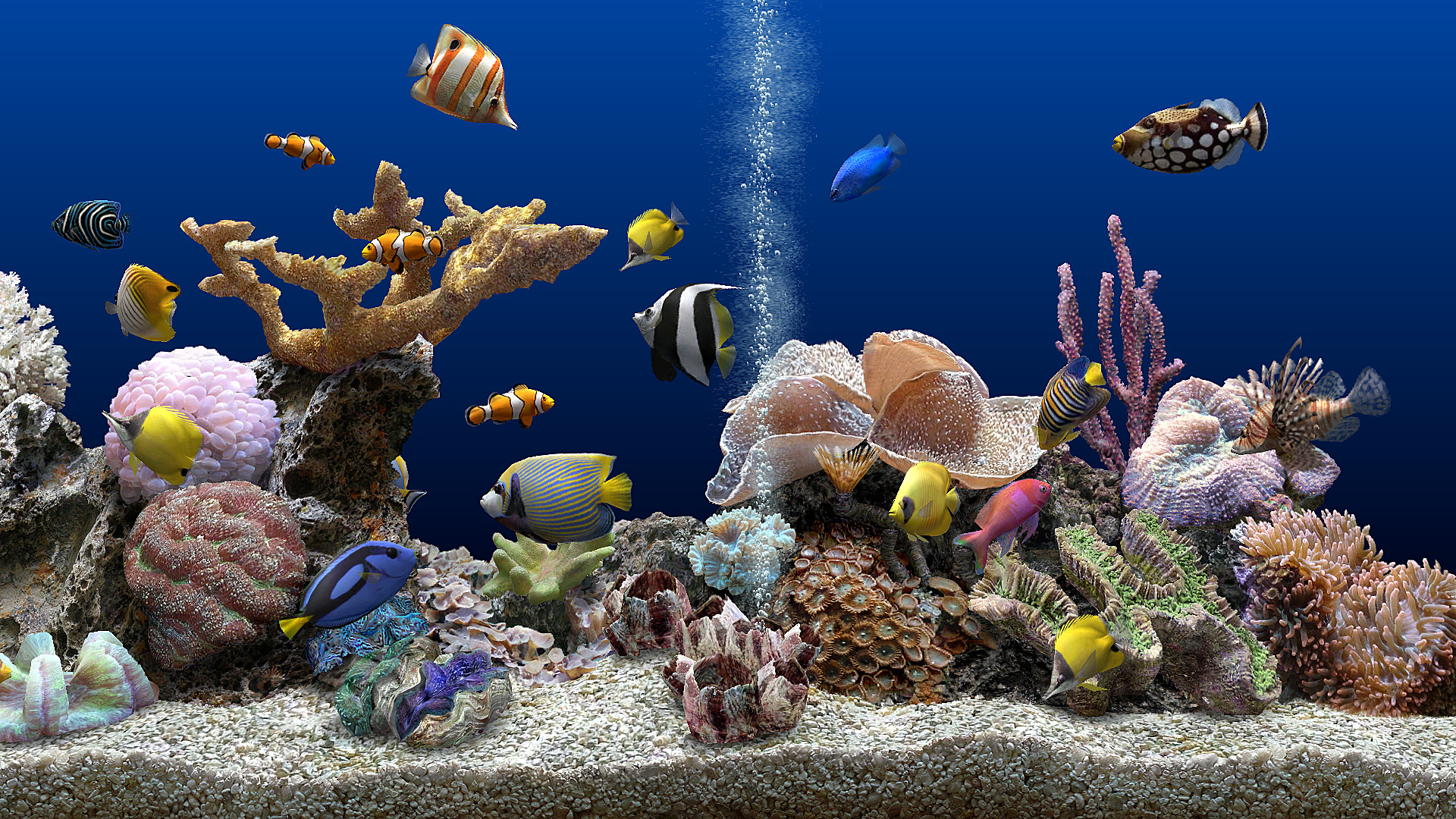 Fonds d'cran Animaux Vie marine - Poissons Mon aquarium virtuel...