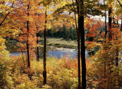  Nature Rivière en automne