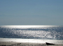 Fonds d'cran Nature Vue sur la mer