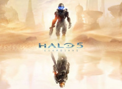  Jeux Vido Halo 5