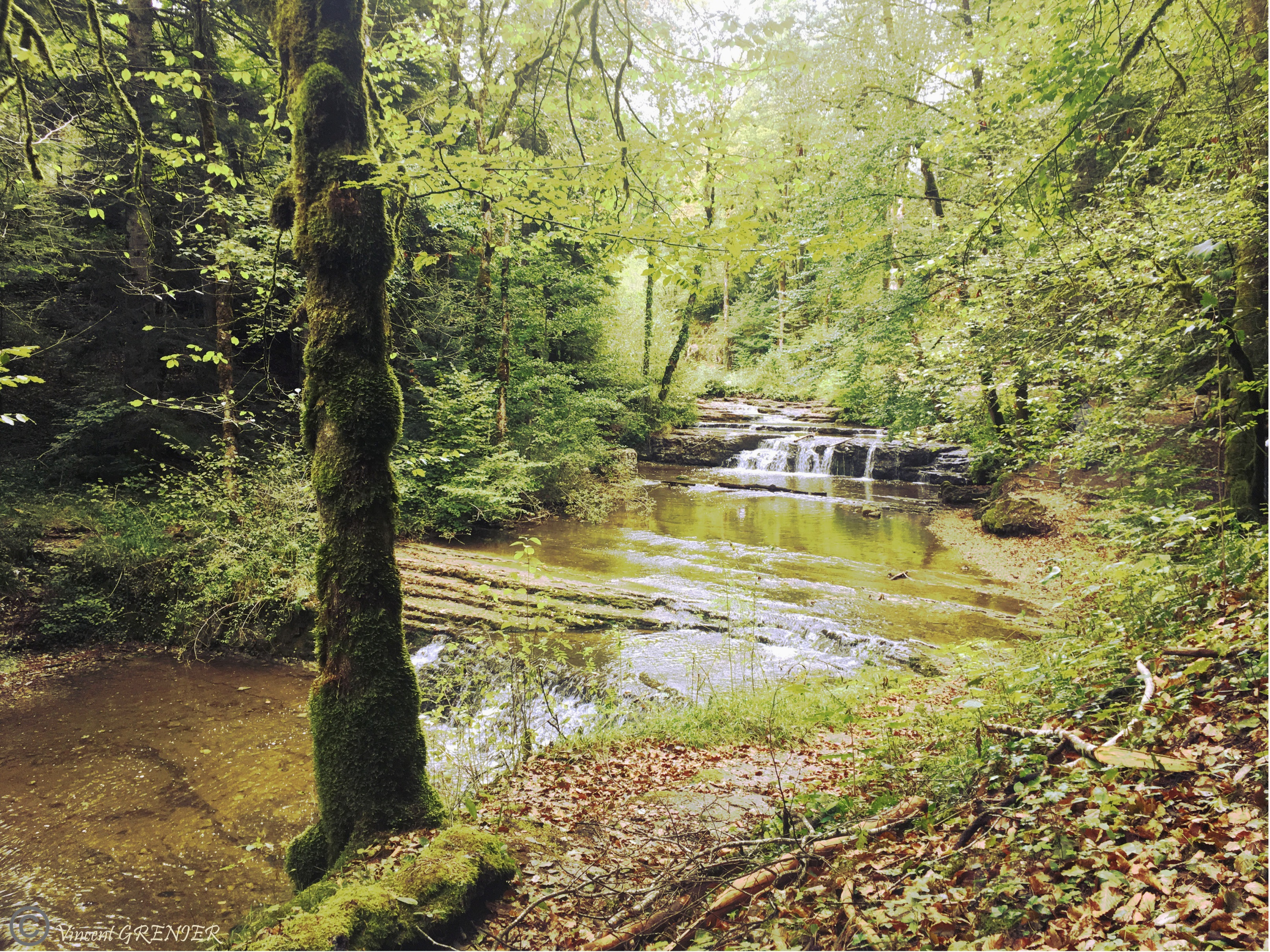 Wallpapers Nature Trees - Forests Cascades des hérissons