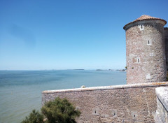  Nature Bord de mer