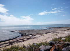  Nature Bord de mer