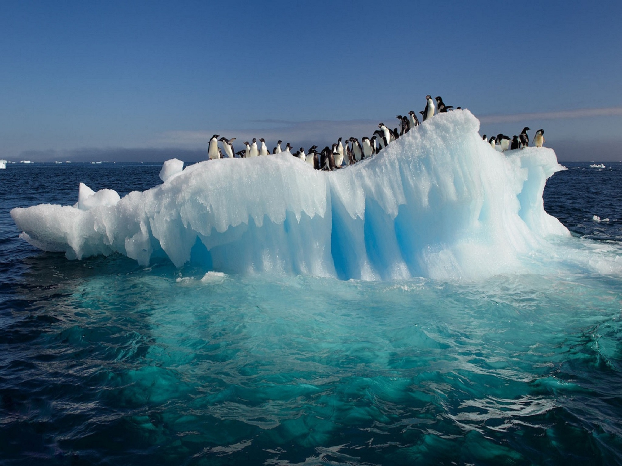 Wallpapers Nature Icebergs Iceberg. Promenade en mer