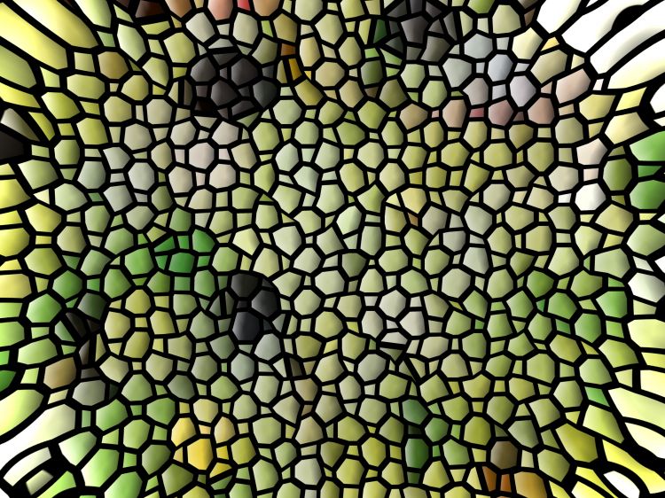 Wallpapers Digital Art Fractals, Kaleidoscope Snake mosaic