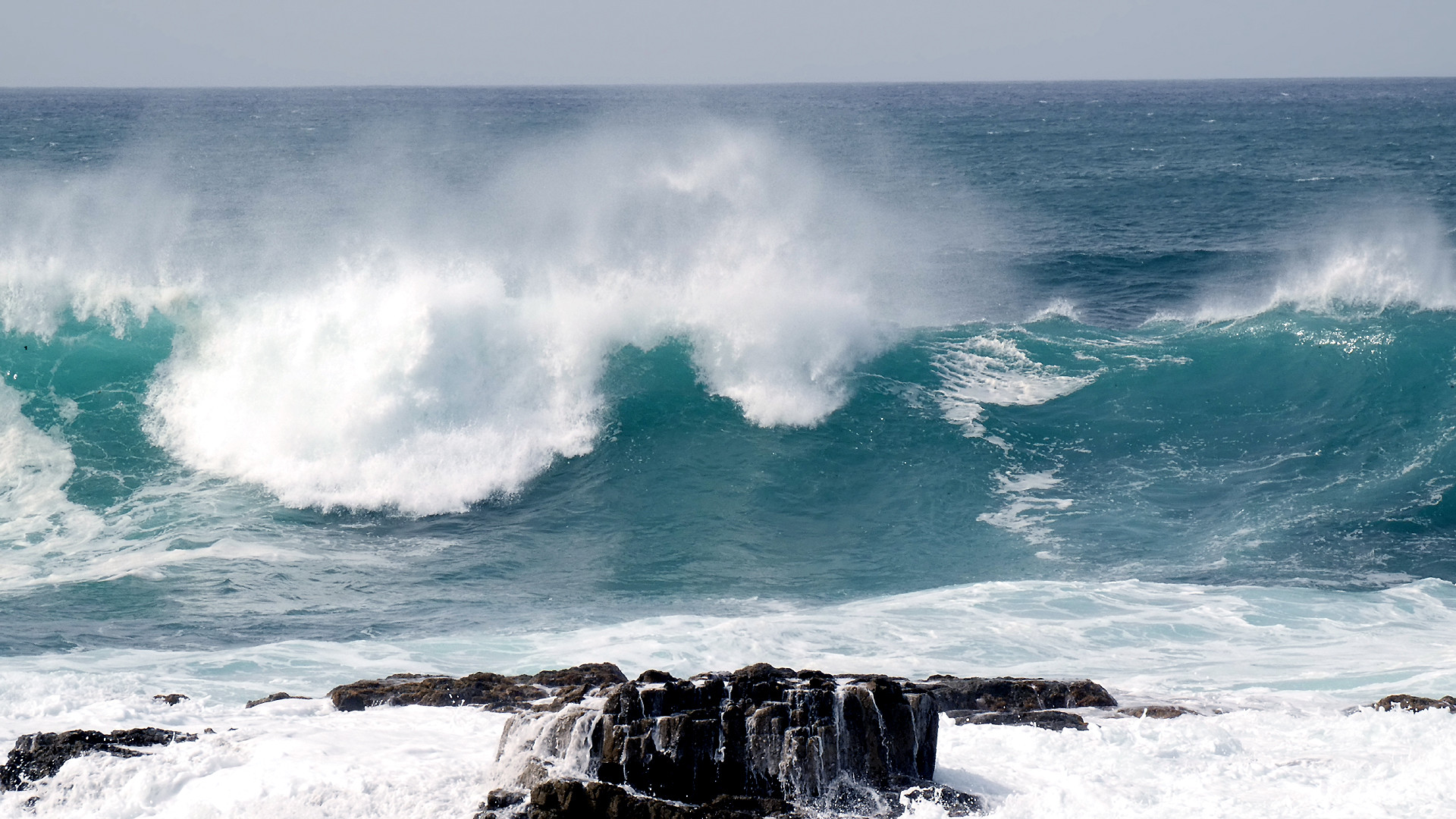 Fonds d'cran Nature Mers - Ocans - Plages La vague se fait belle...