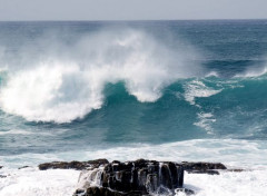  Nature La vague se fait belle...