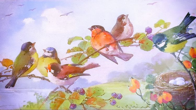 Fonds d'cran Art - Peinture Animaux Oiseaux de Catharina Klein