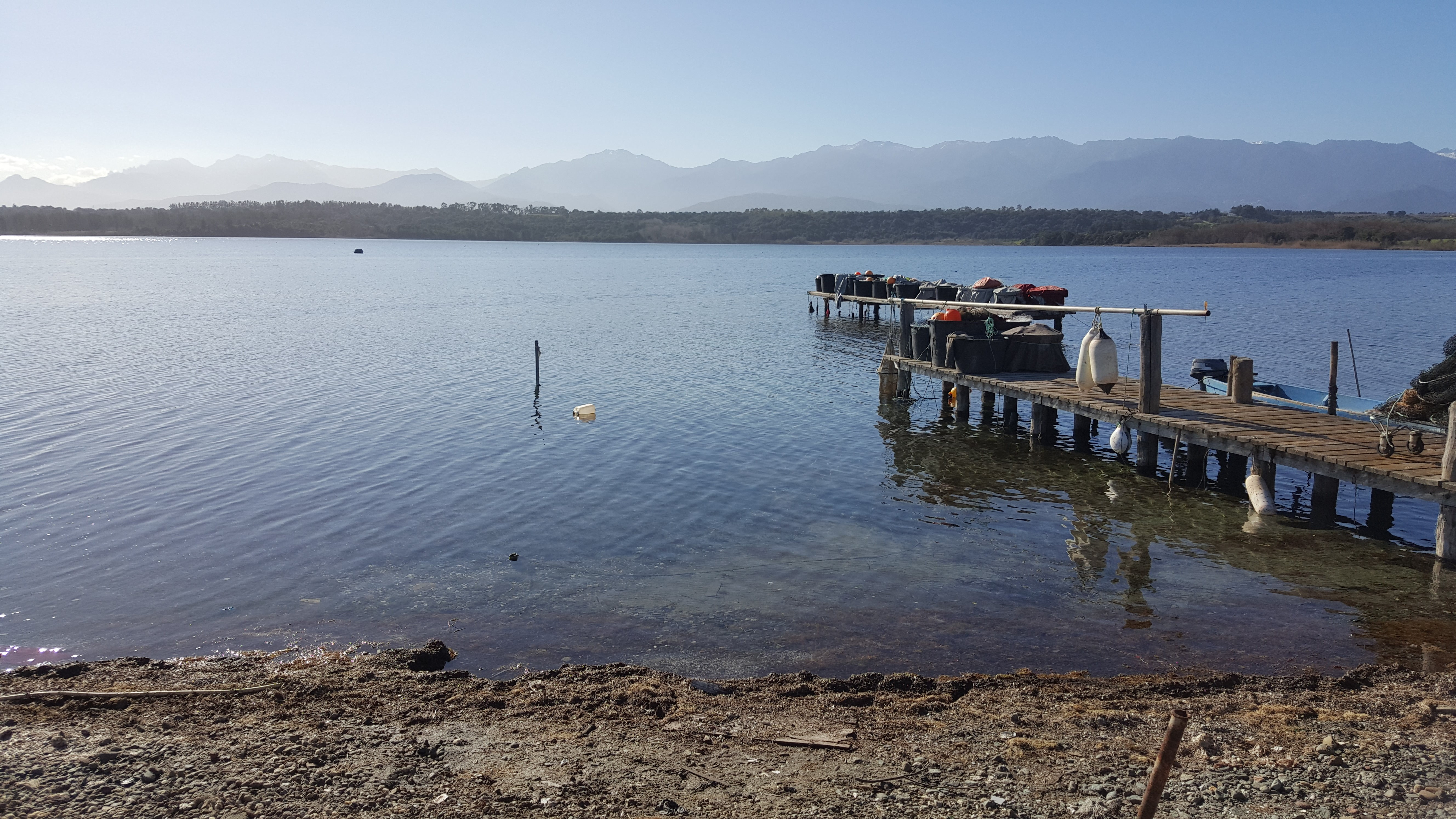 Fonds d'cran Nature Lacs - Etangs etang d Urbino cote orientale Corse