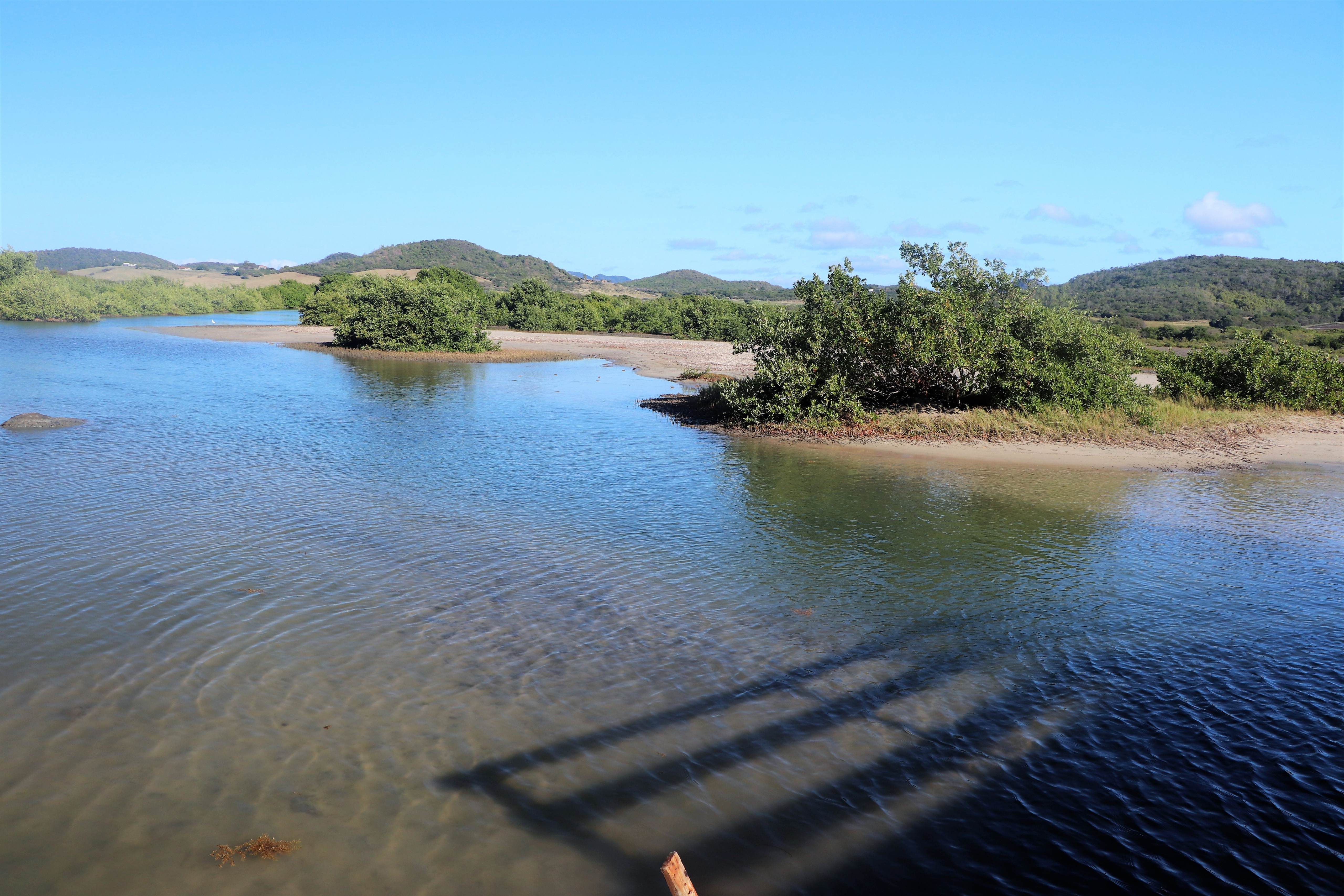 Wallpapers Trips : North America Martinique les salines et ses environs