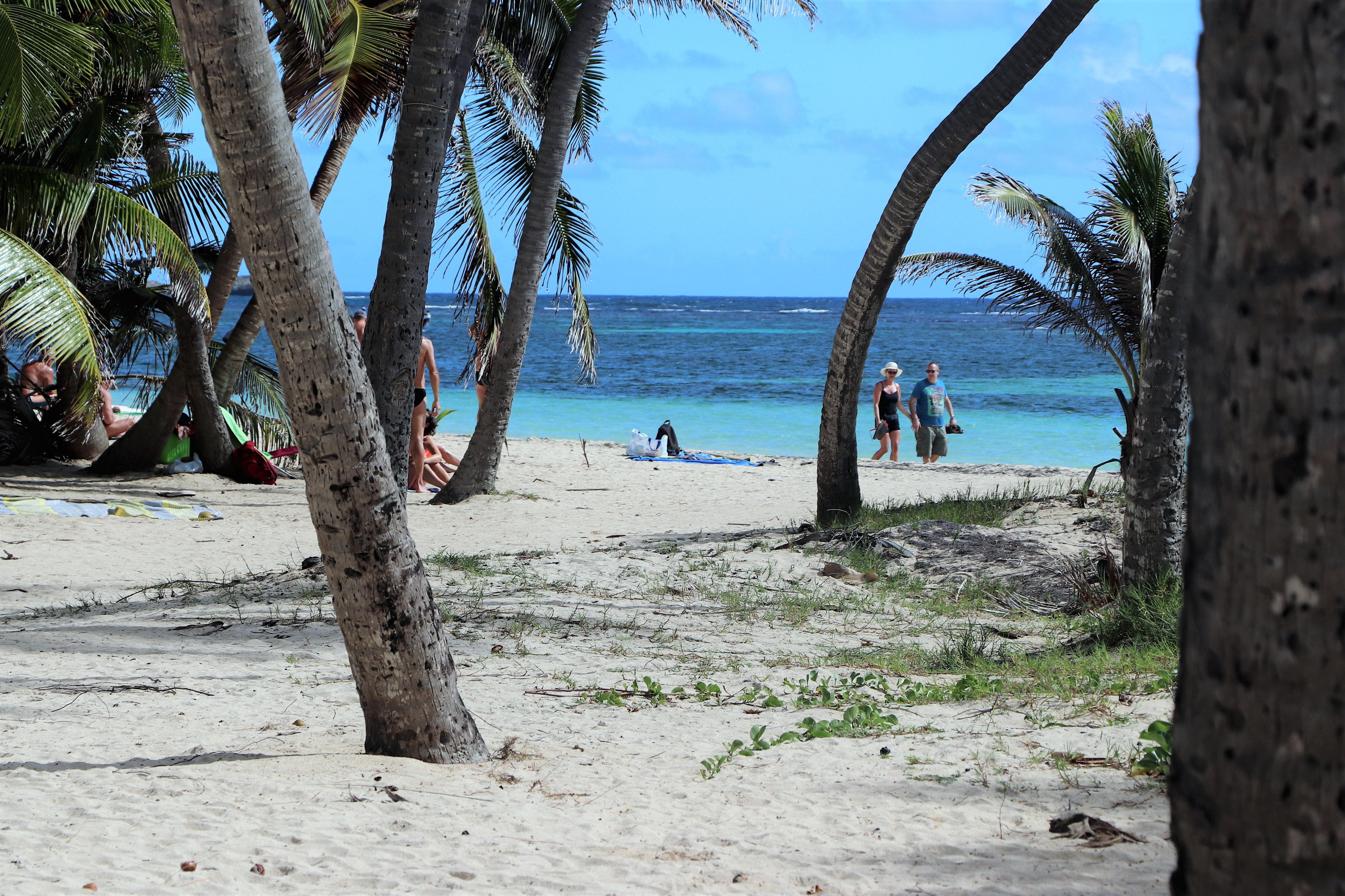 Fonds d'cran Voyages : Amrique du nord La Martinique anse Michel