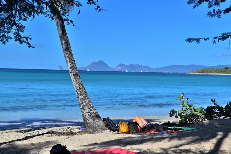 Fonds d'cran Voyages : Amrique du nord La Martinique les salines et ses environs