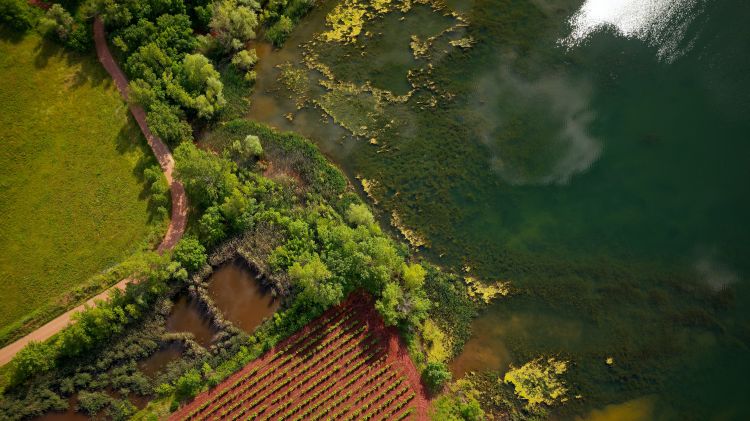 Fonds d'cran Nature Campagne douceur du crepuscule