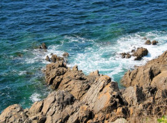  Nature bretagne : pointe de St Mathieu (finistre) 