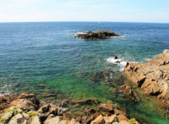  Nature bretagne : pointe de St Mathieu (finistre) 