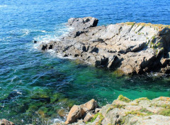  Nature bretagne : pointe de St Mathieu (finistre) 