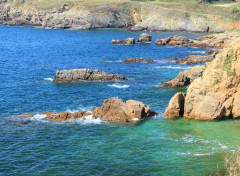  Nature bretagne : pointe de St Mathieu (finistre) 