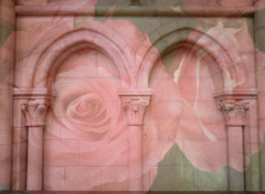  Art - Numrique Wall of roses