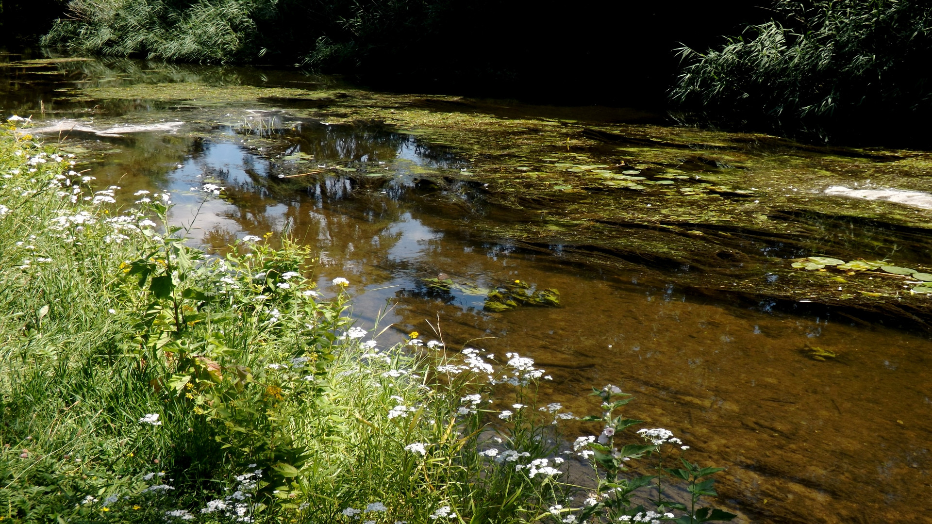 Wallpapers Nature Rivers - Torrents 