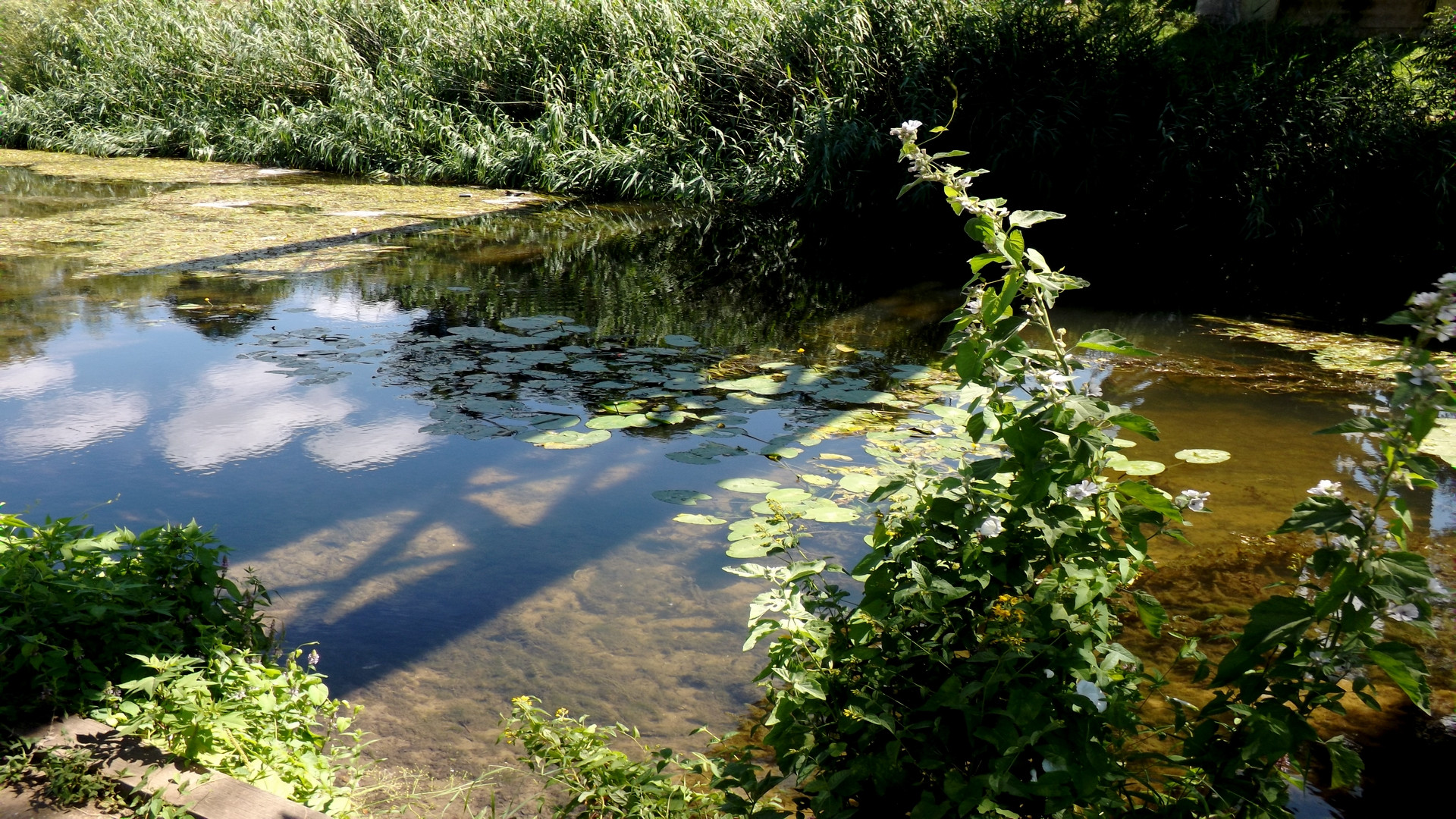 Wallpapers Nature Rivers - Torrents 