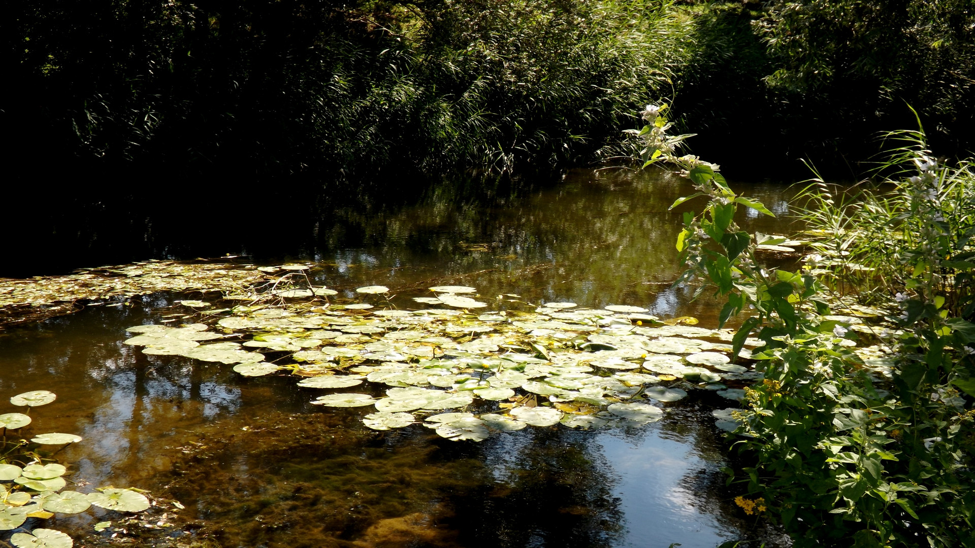 Fonds d'cran Nature Fleuves - Rivires - Torrents 