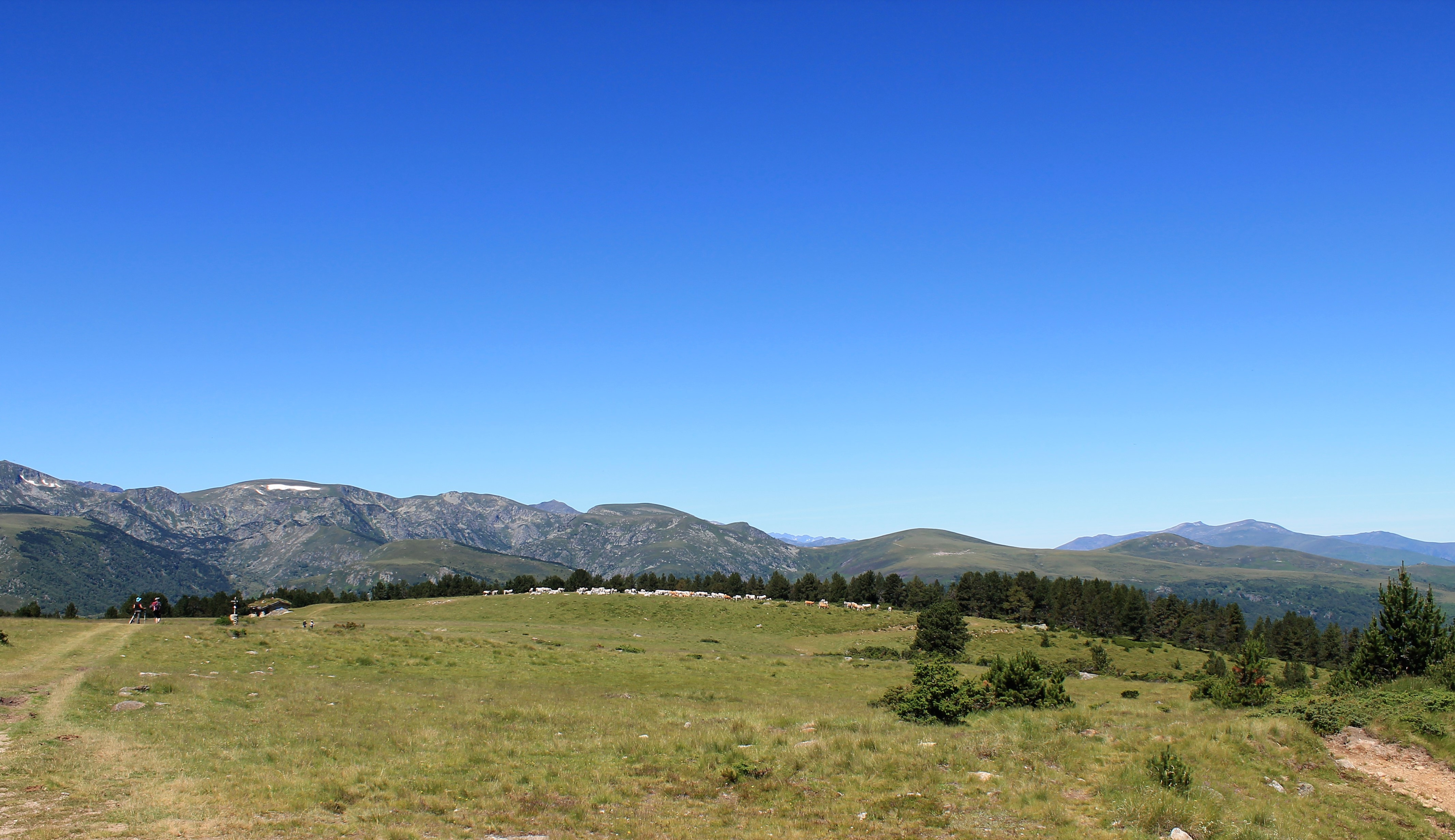 Wallpapers Nature Mountains plateau de Beille (ariège)