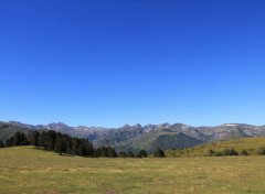  Nature plateau de Beille (ariège)