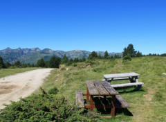  Nature plateau de Beille (ariège)