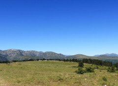  Nature plateau de Beille (ariège)