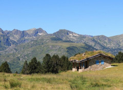  Nature plateau de Beille (ariège)