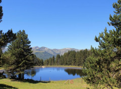  Nature plateau de Beille (arige)