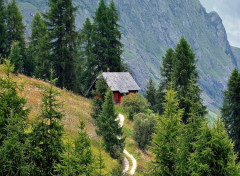  Nature Petite maison tranquille