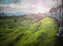  Trips : Asia Train au Sri Lanka