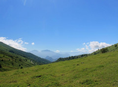  Nature pyrénnées ariégeoises