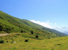  Nature pyrénnées ariégeoises