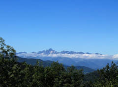  Nature pyrénnées ariégeoises