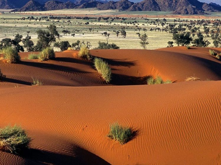 Fonds d'cran Nature Dserts Désert de Namibie