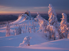  Nature Montagne enneigée