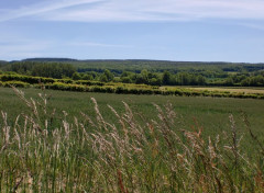  Nature Campagne