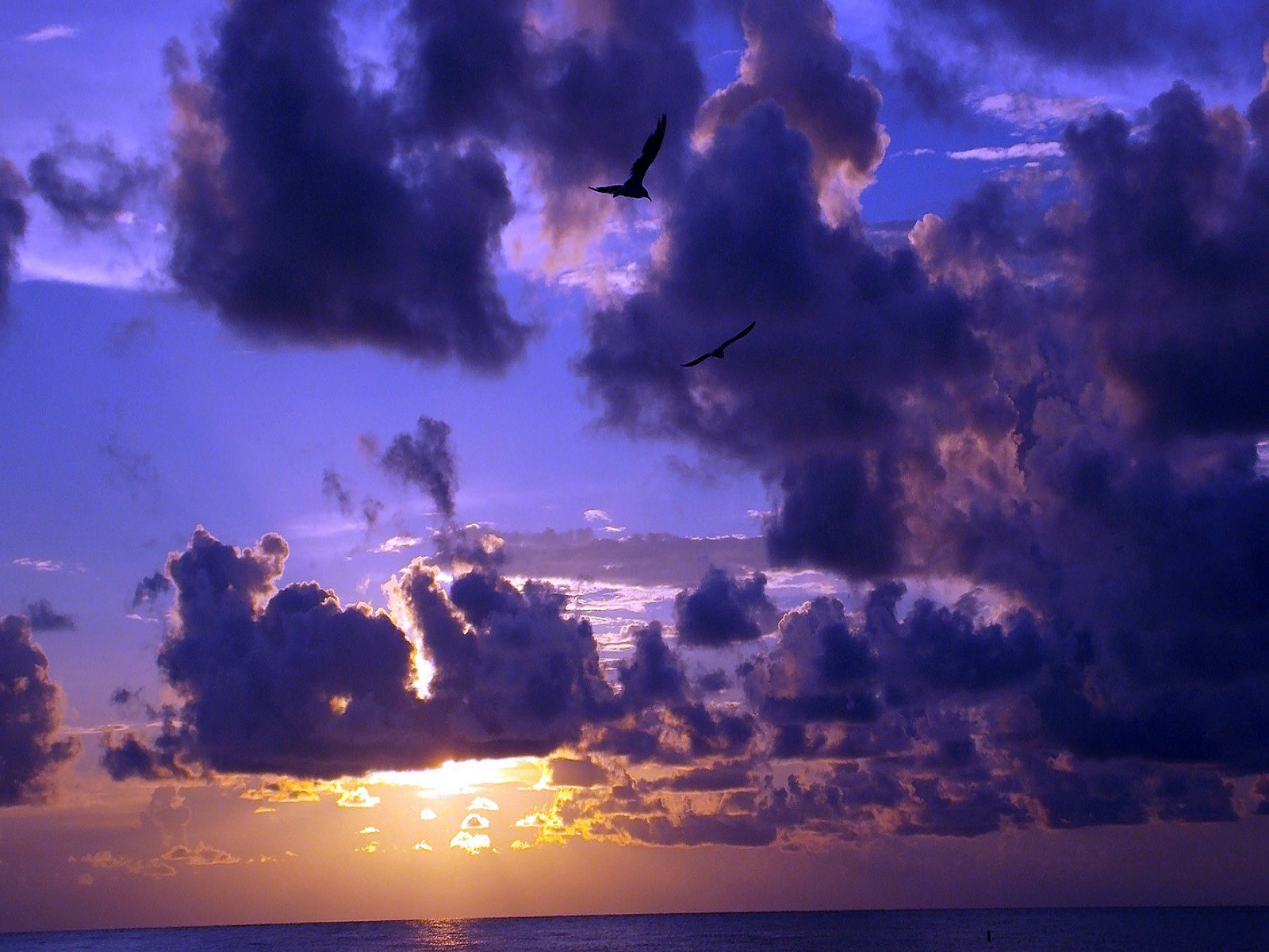 Fonds d'cran Nature Ciel - Nuages Nuages noirs dans le ciel